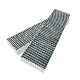 Filtro a carbone Beko 165265001 (2 pezzi)