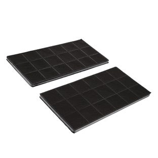 Filtro al carbonio Electrolux CA1690 (2 pezzi)