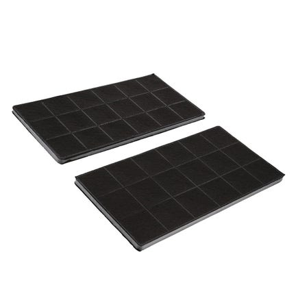 AEG Filtro a Carbonio CA1690 (2 pezzi)