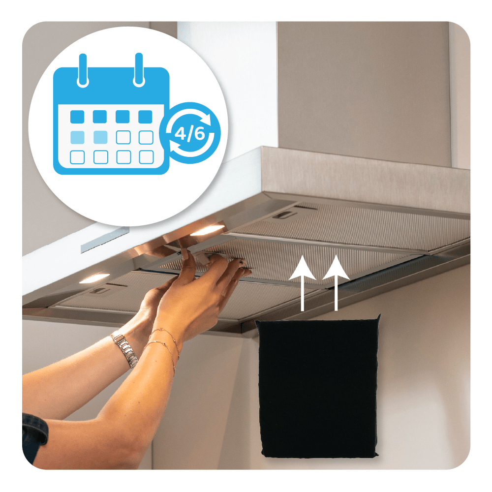 WPRO Filtro a carboni attivi rigenerabile Tipo 20 / CFW020/1