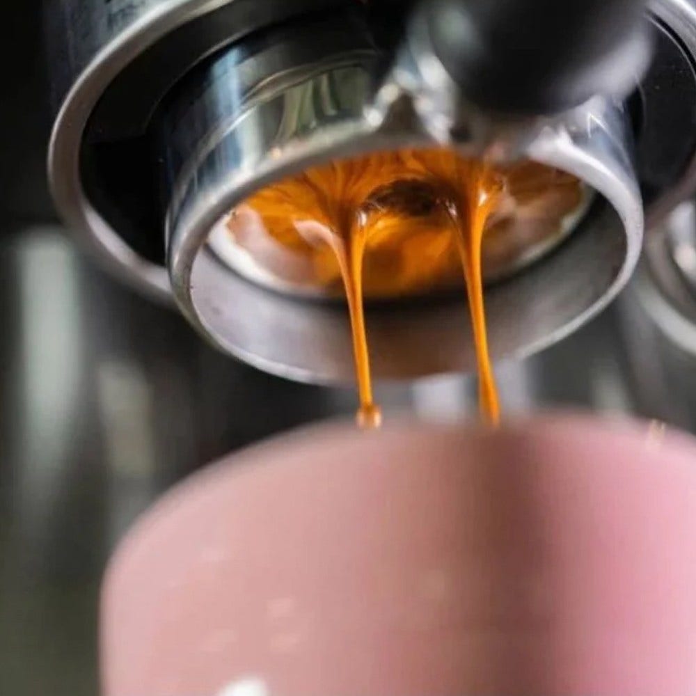 Solis Piastra di distribuzione dell’acqua IMS Perfetta 700.60