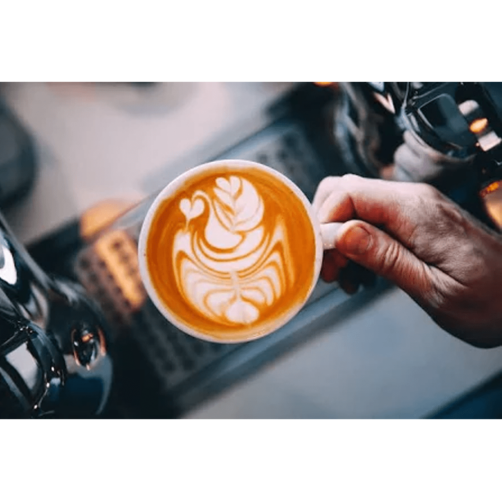 De'Longhi Contenitore latte Magnifica Evo / DLSC028