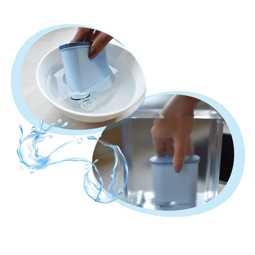 Kit manutenzione compatibile con Philips/Saeco – Filtro acqua + 250ml Decalcificante