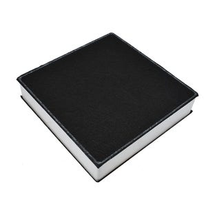 Filtro di carbonio ad alte prestazioni per Oranier AFP220