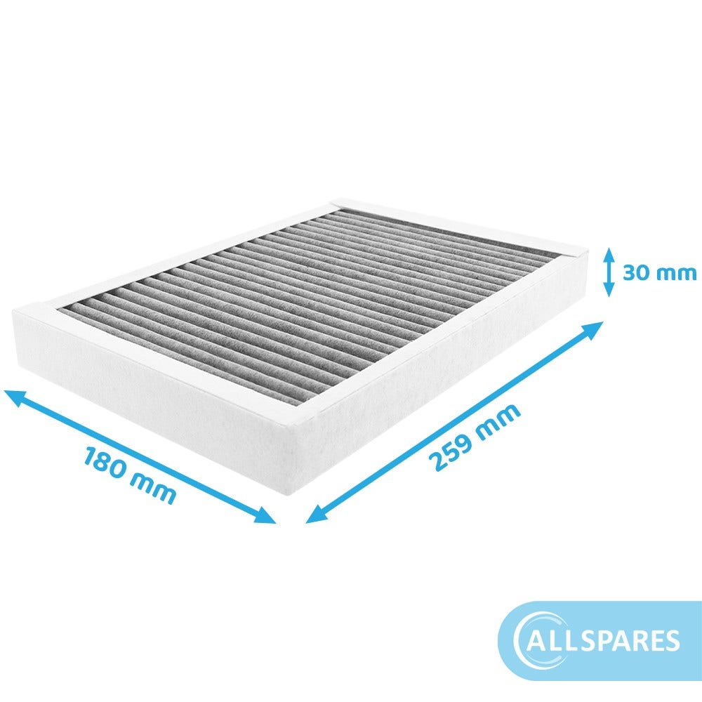 Filtro antiparticolato compatibile con Pelgrim HF3004