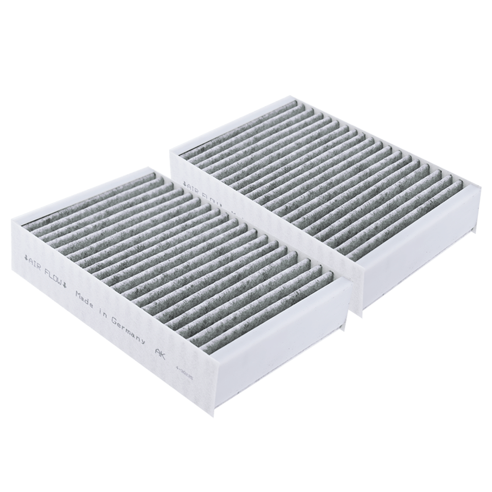 Filtro a carbone set adatto per Miele DKF 31-P (2 pz.)