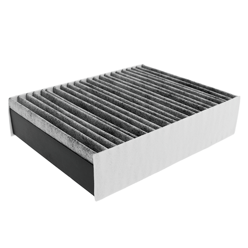 Filtro a particelle fini compatibile con PelgrimHF3001