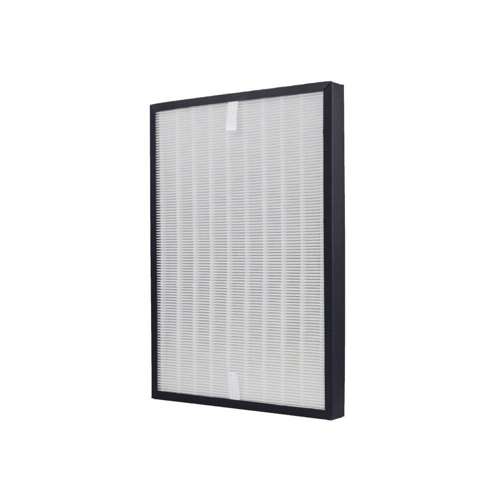 Kit filtri compatibile con De'Longhi AC230 