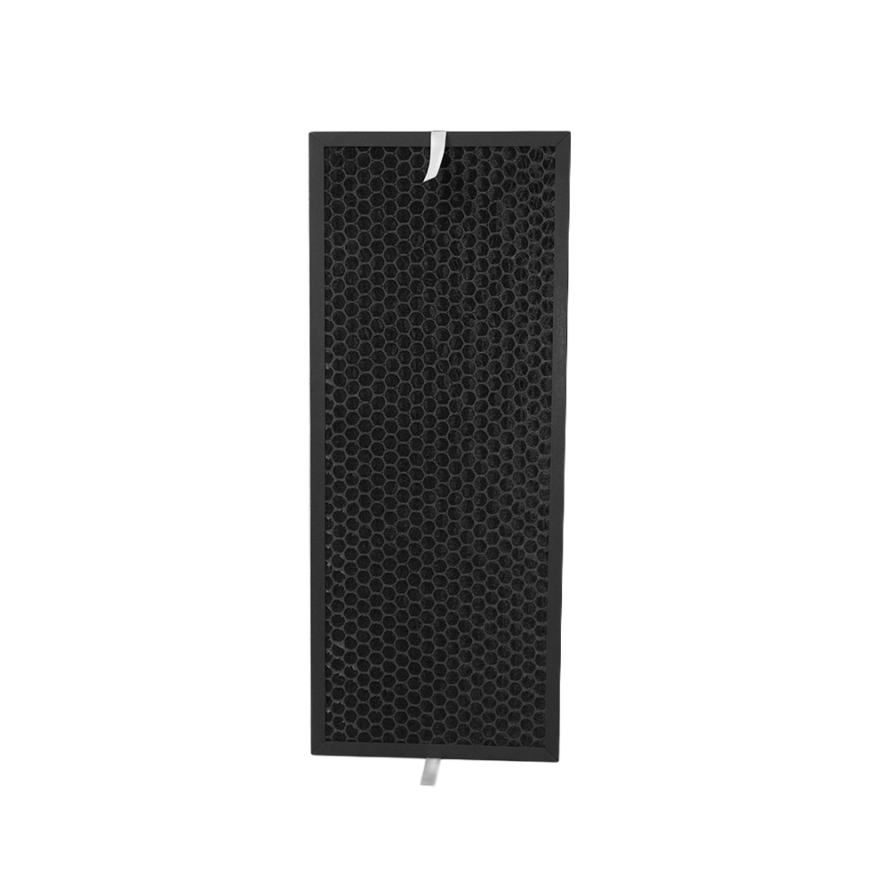 Kit filtri (2 pz.) compatibile con Rowenta XD6077 (Allergy) et XD6066 (Carboni)