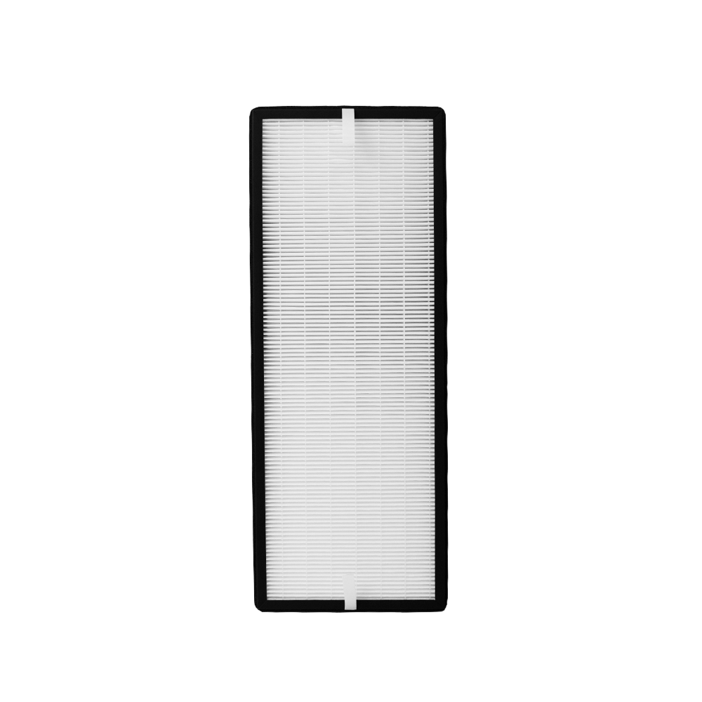 Kit filtri (2 pz.) compatibile con Rowenta XD6077 (Allergy) et XD6066 (Carboni)