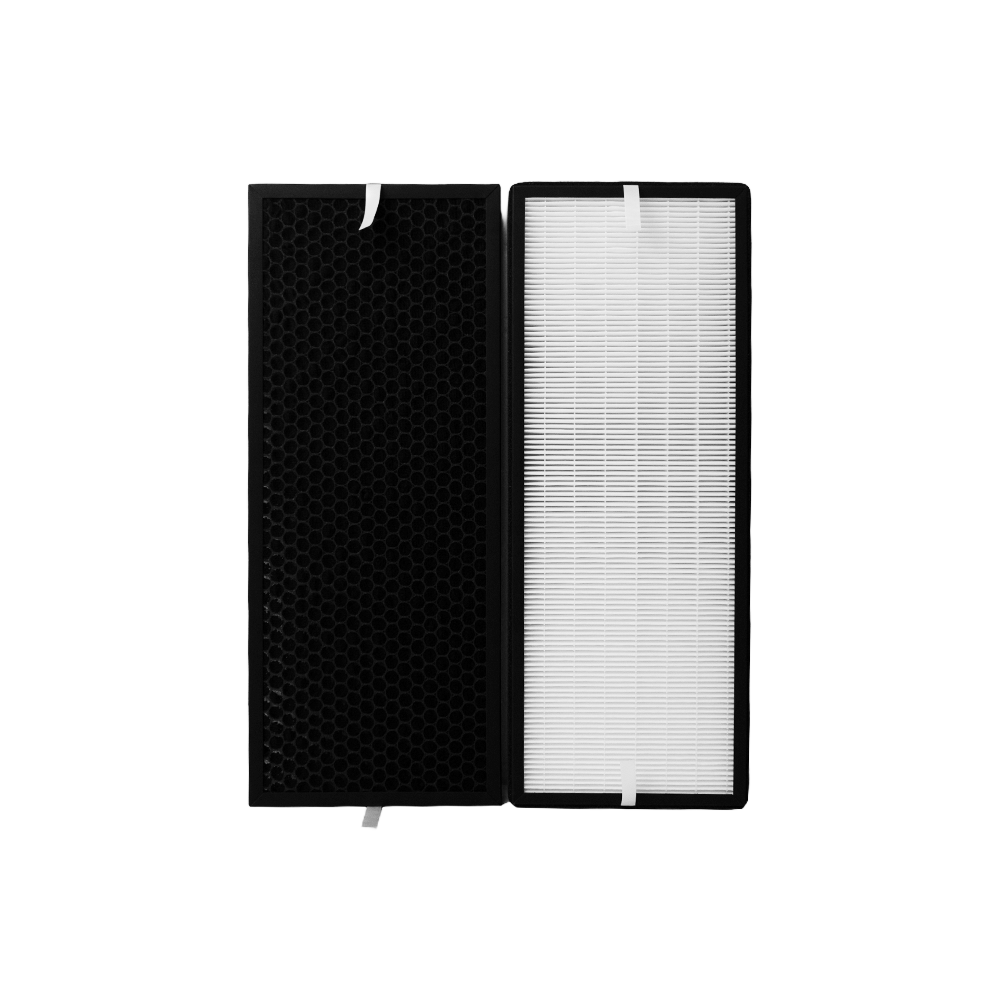 Kit filtri (2 pz.) compatibile con Rowenta XD6077 (Allergy) et XD6066 (Carboni)
