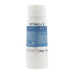 BWT Bestmax X Cartuccia Filtro Acqua FS20I00A00