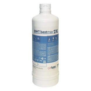 BWT Bestmax 2XL Filtro per acqua FS30I00A00