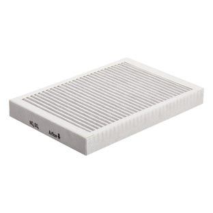 Pelgrim Filtro Antipolvere HF3004