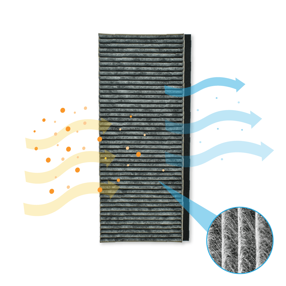 Viva CleanAir Filtro a carboni attivi 17006837