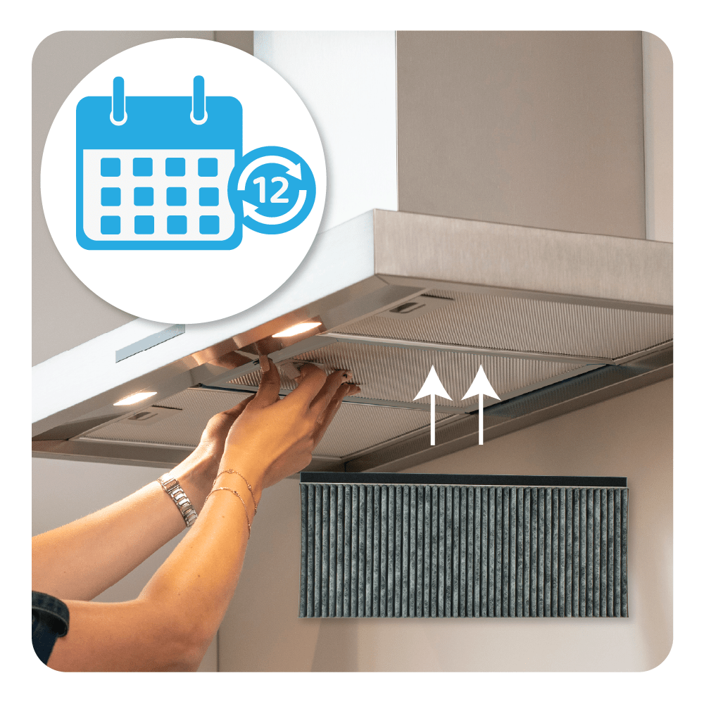 Viva CleanAir Filtro a carboni attivi 17006837