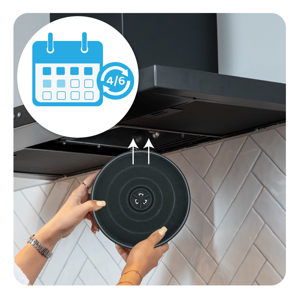 Filtro a carboni attivi compatibile con Electrolux EFF57 / MCEF03