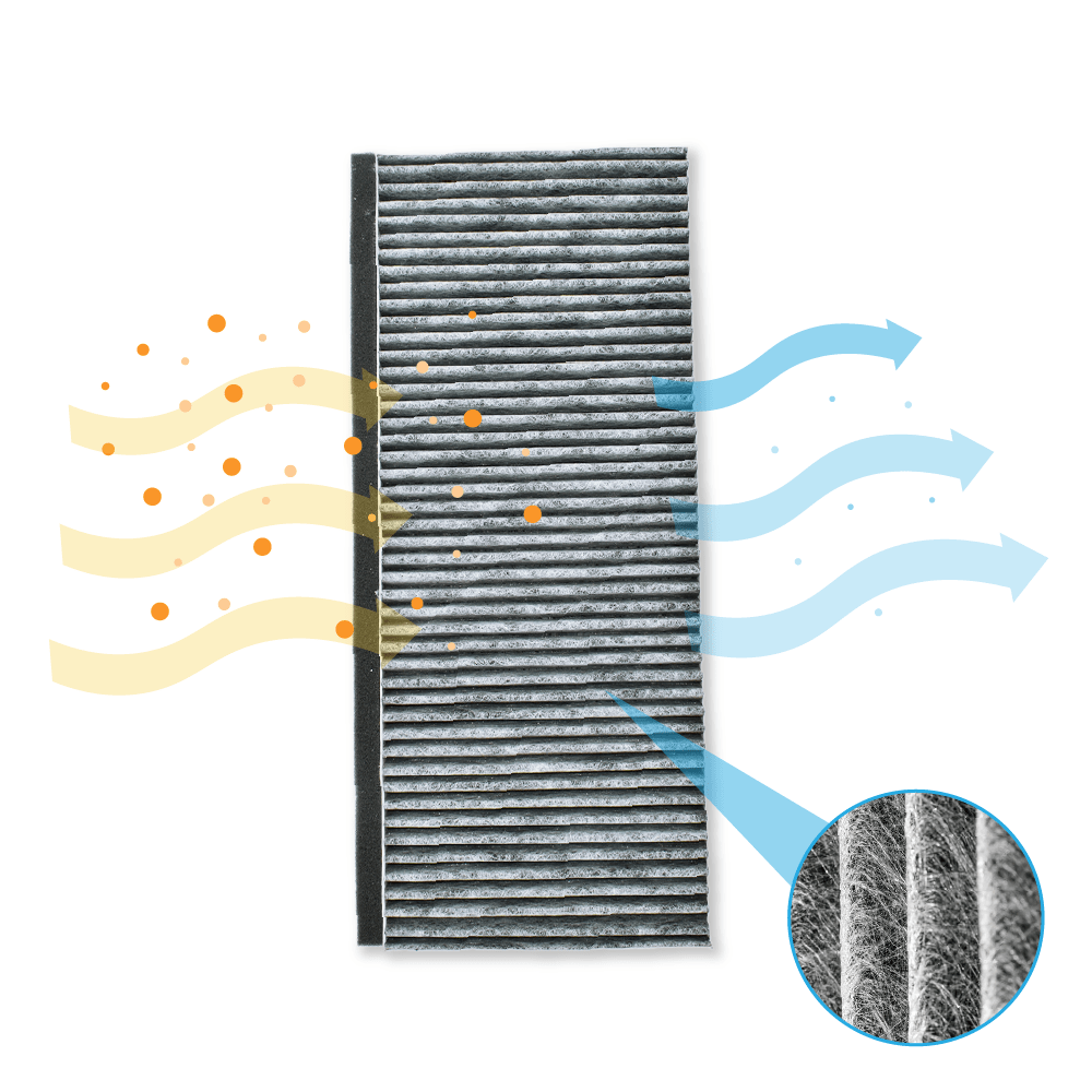 Filtro a carboni attivi compatibile con Viva CleanAir VVA61F250... / VVA61F251... / VVA61F350...