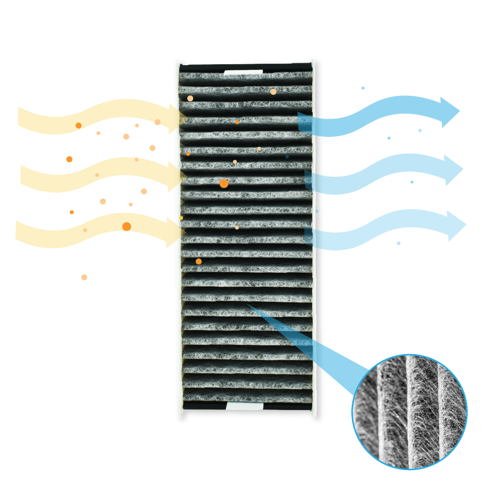Set di filtri al carbone attivo CleanAir compatibile con Constructa 17007113 / Z821UD0 di AllSpares per piani cottura con cappa aspirante