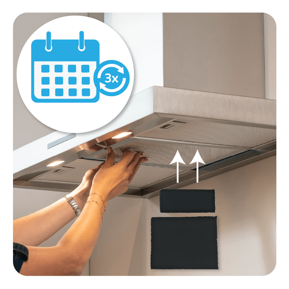 Electrolux Filtro a carboni attivi rigenerabile (2 pz.) MCFB79PL / 9029865863