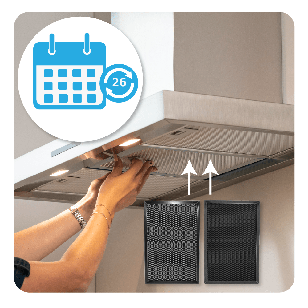 Filtro a carbone rigenerabile 2 in 1 adatto per Electrolux 140204164028