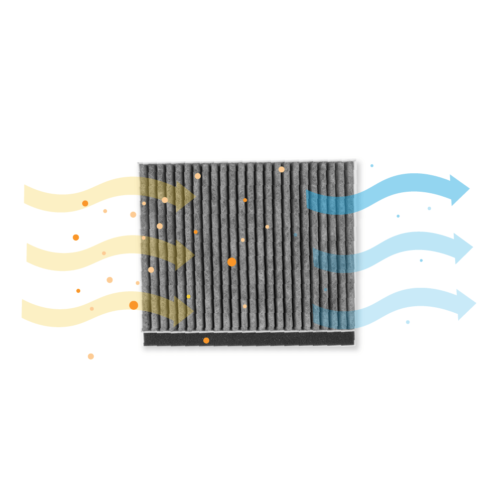 Blaupunkt Filtro a carboni attivi CleanAir 17006595