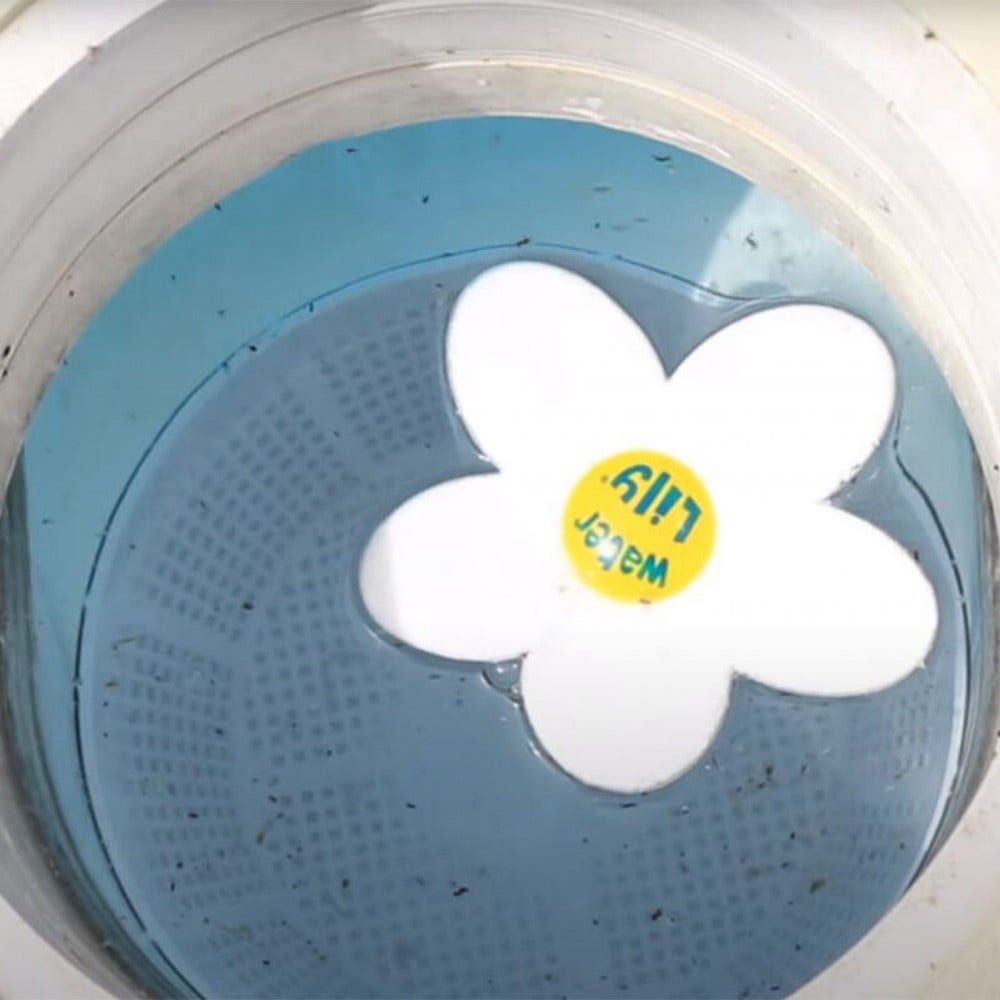 Toucan Water Lily Purificatore d'acqua per piscina e minipiscina (6 pz.)