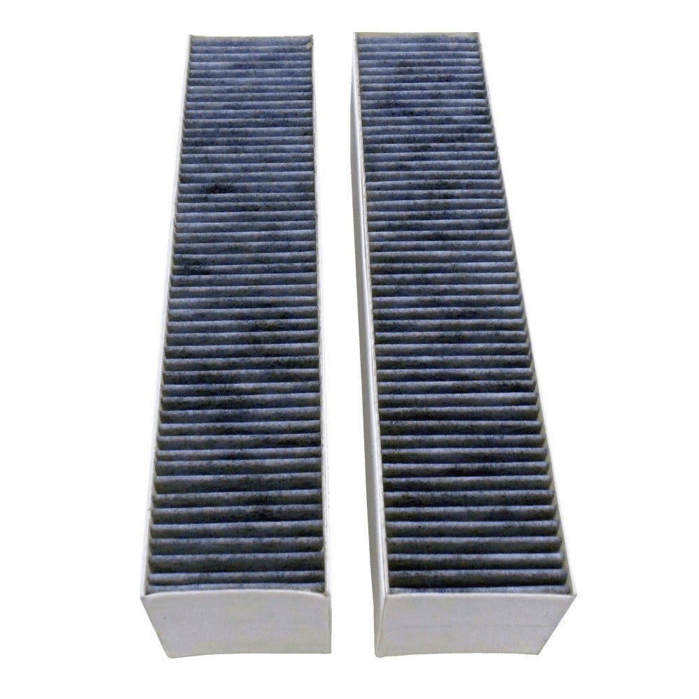 Filtro di carbone compatibile con Gaggenau 00792273 / 17003002 (2 pezzi)